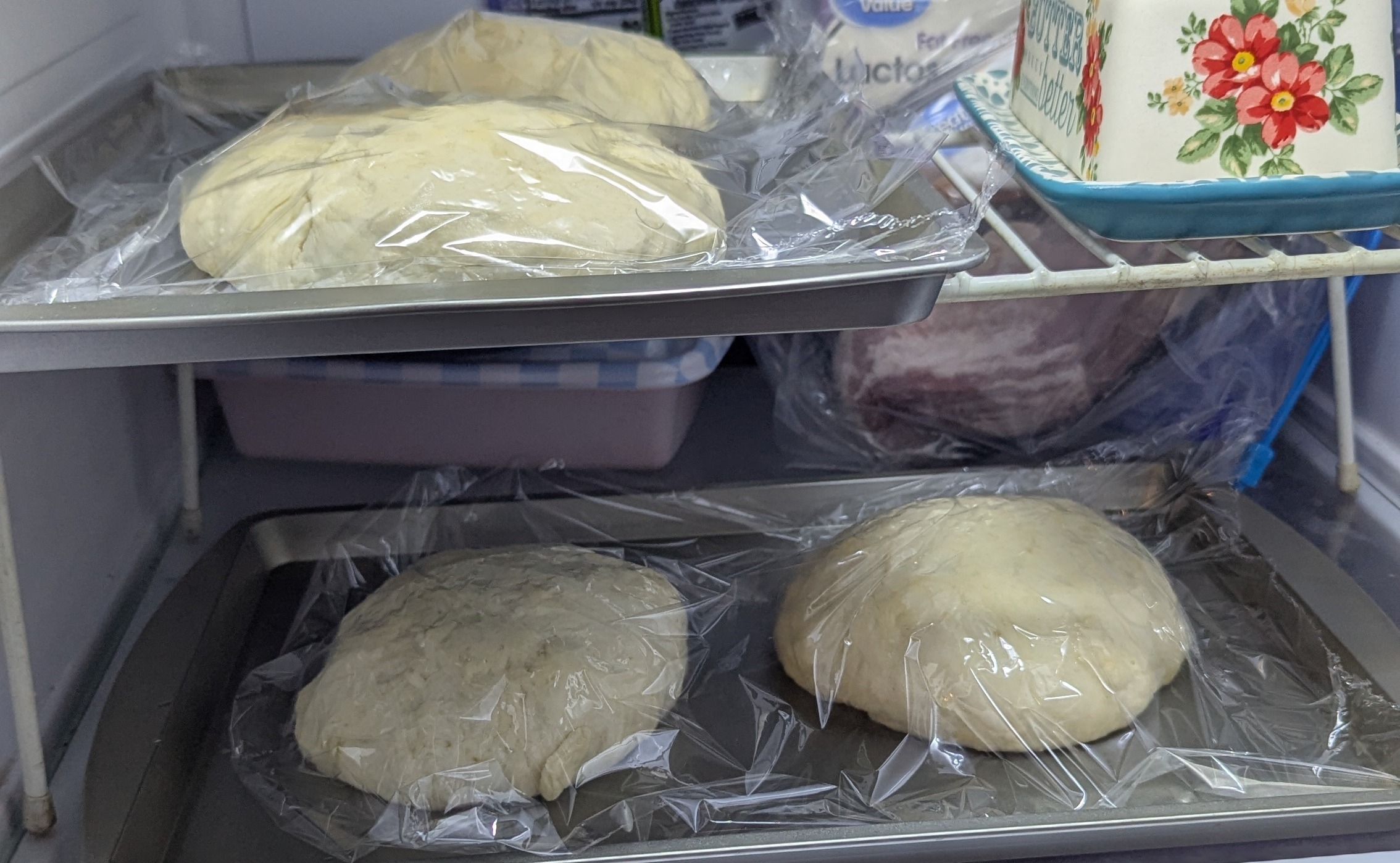 Pizza dough balls